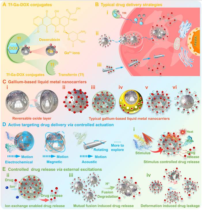 Theranostics Image