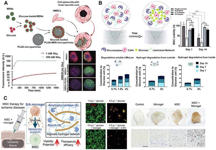 Theranostics Image