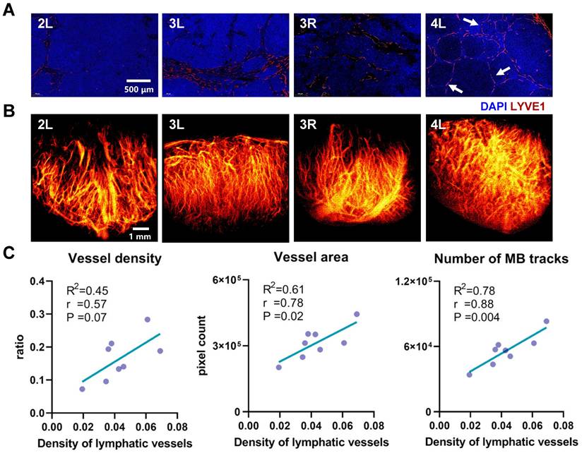 Theranostics Image