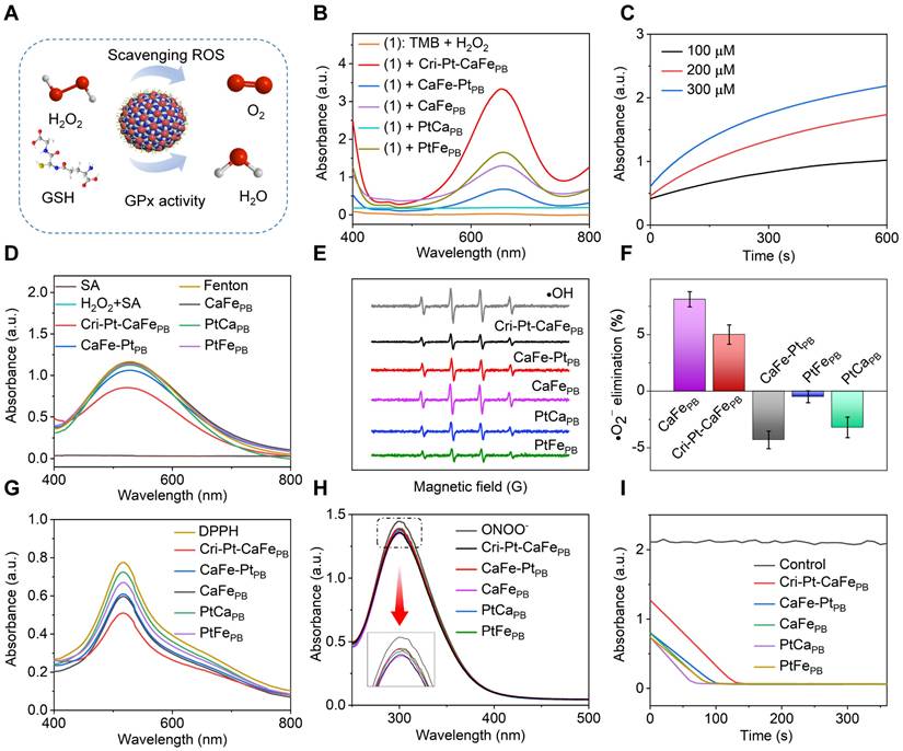 Theranostics Image