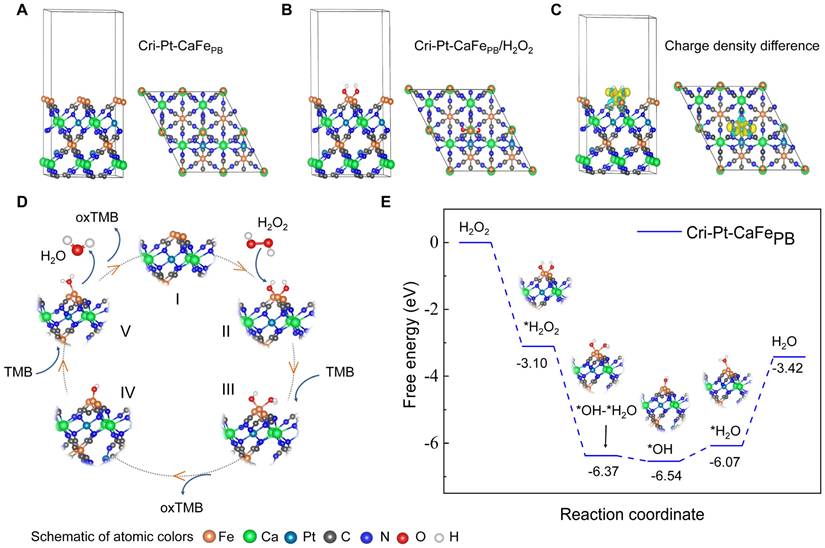 Theranostics Image