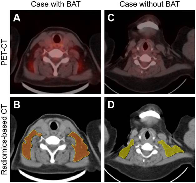 Theranostics Image