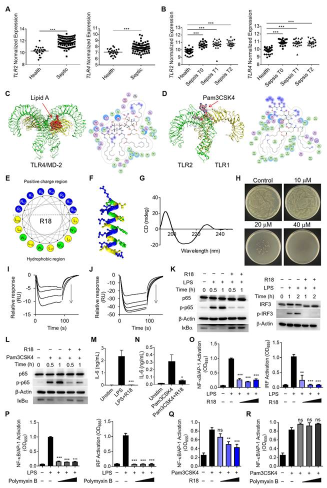 Theranostics Image