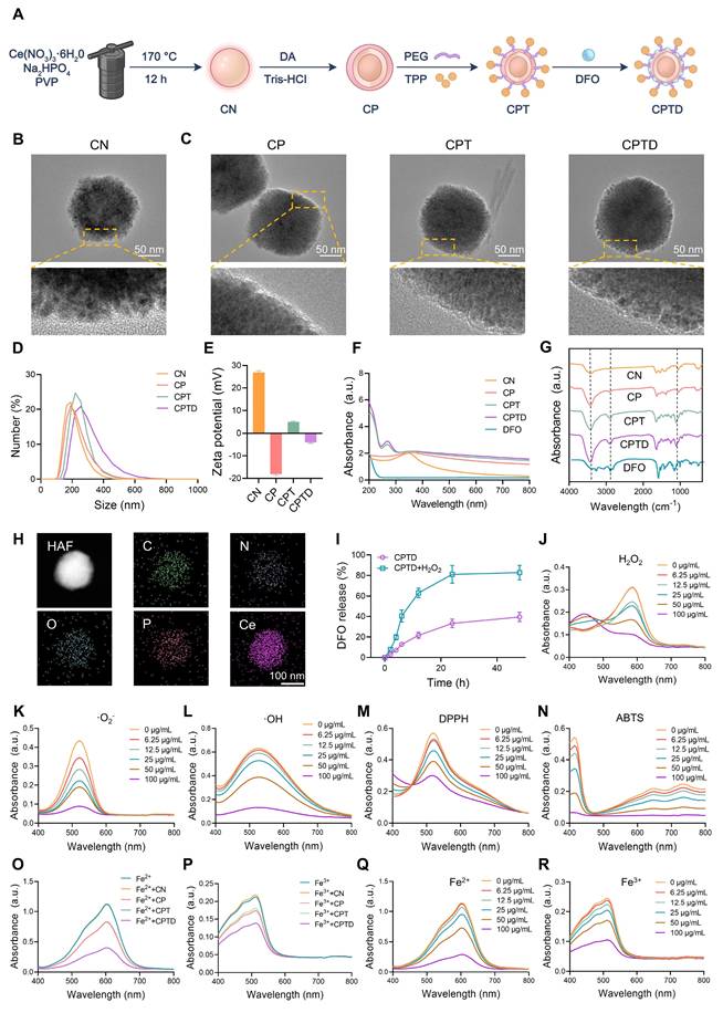 Theranostics Image