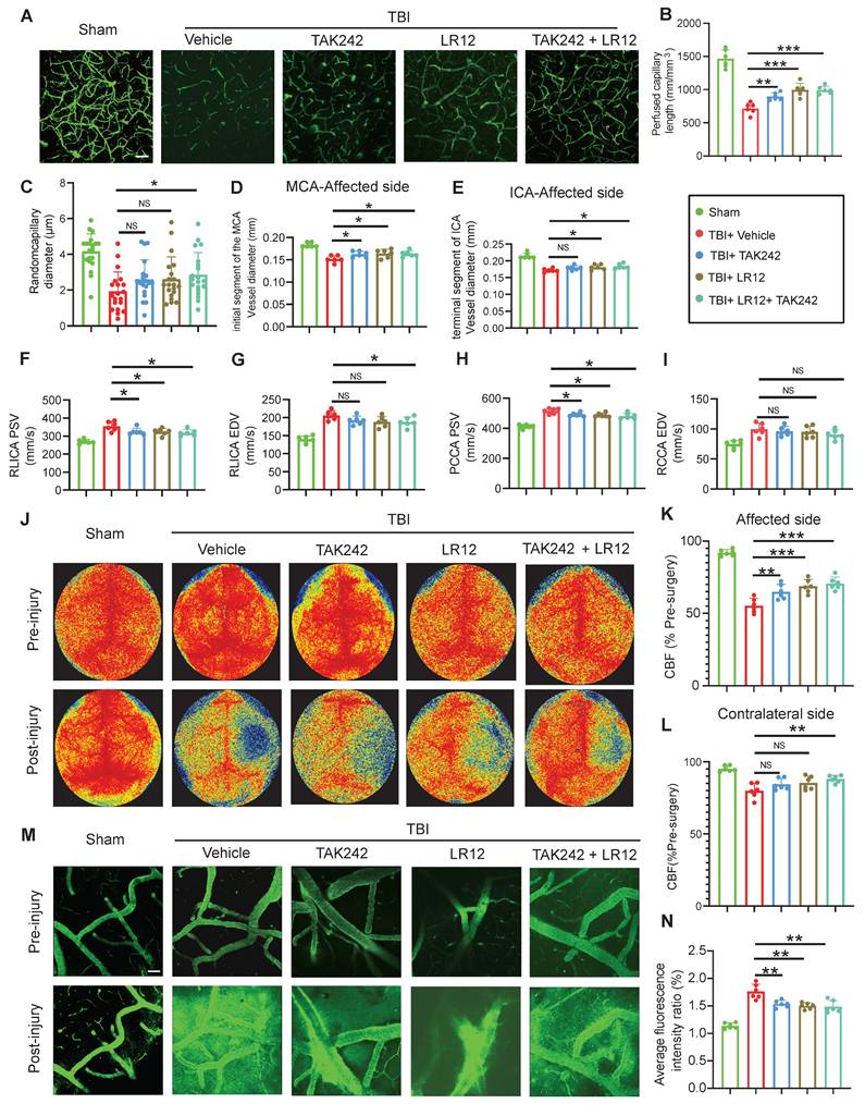 Theranostics Image