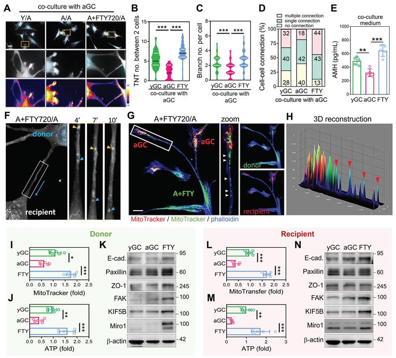 Theranostics Image