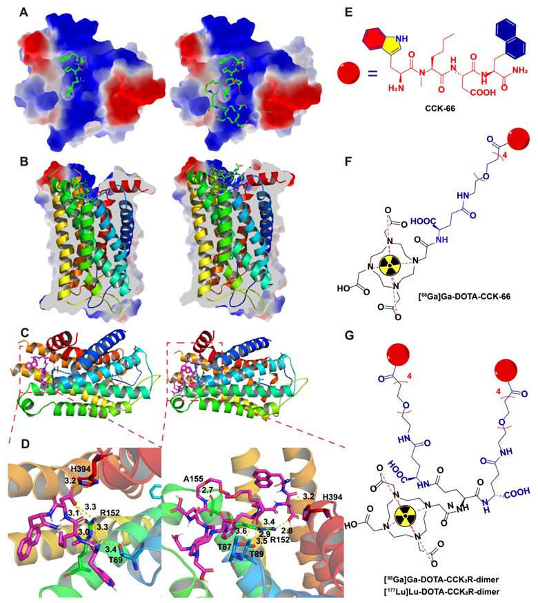 Theranostics Image