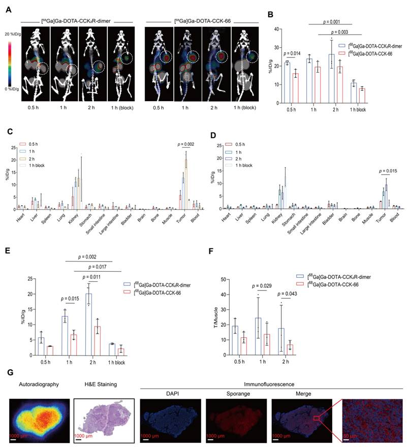 Theranostics Image