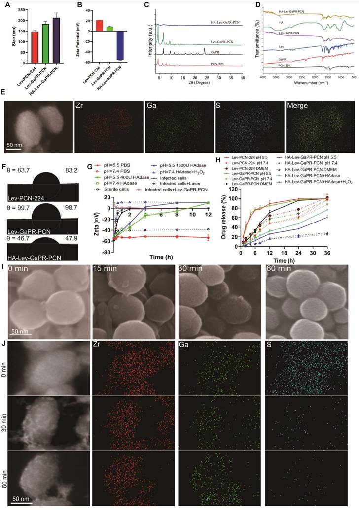 Theranostics Image