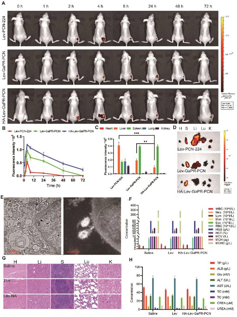 Theranostics Image