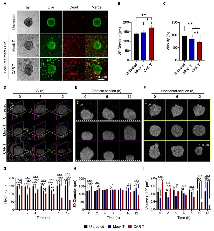 Theranostics Image