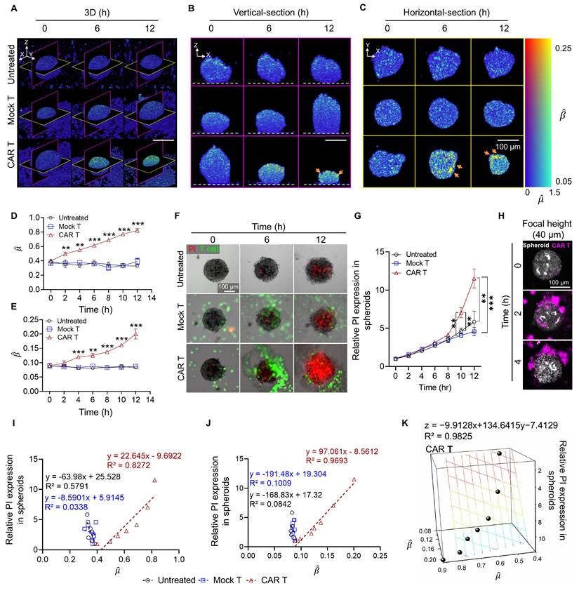 Theranostics Image