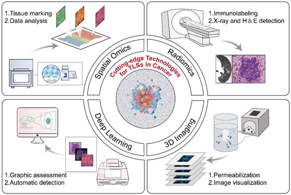 Theranostics Image