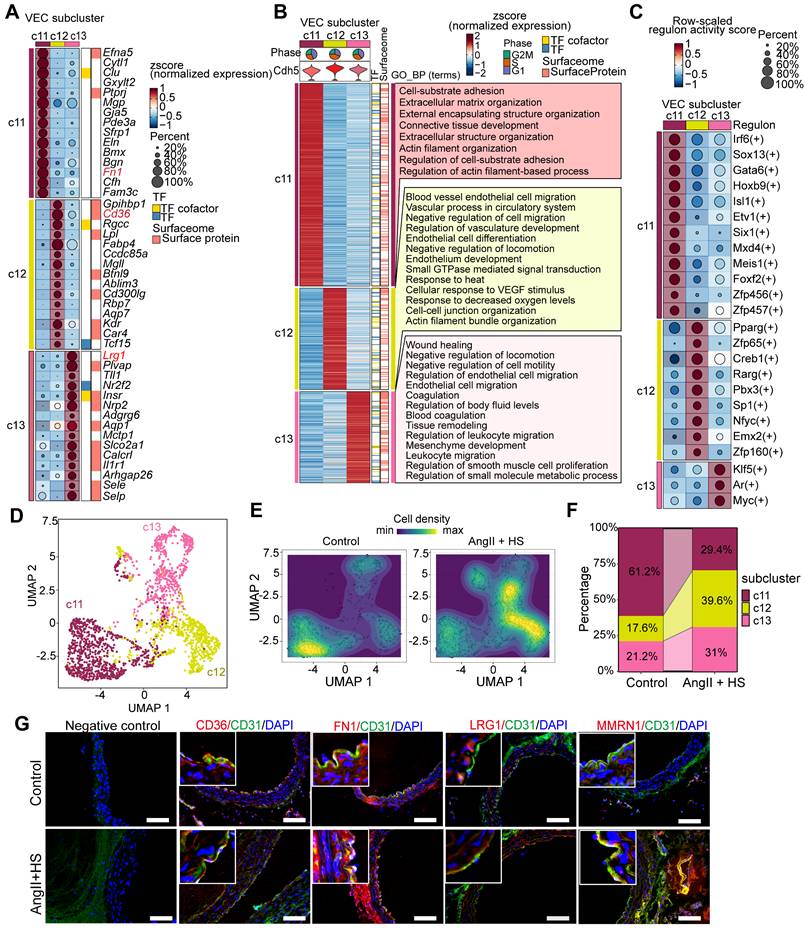 Theranostics Image