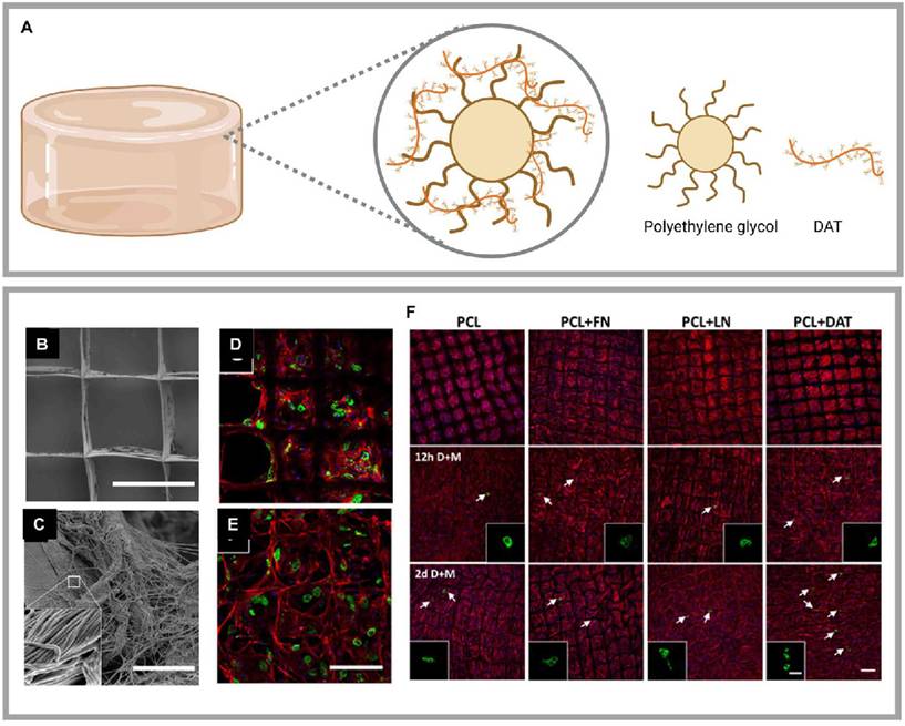 Theranostics Image