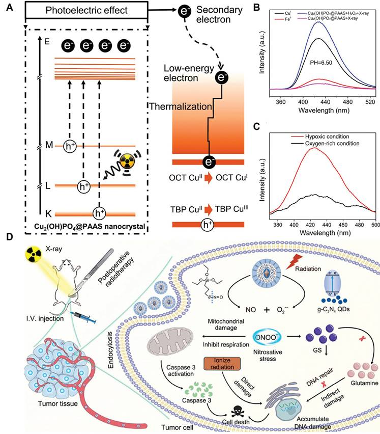 Theranostics Image
