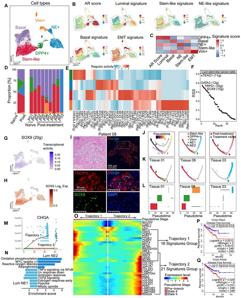 Theranostics Image