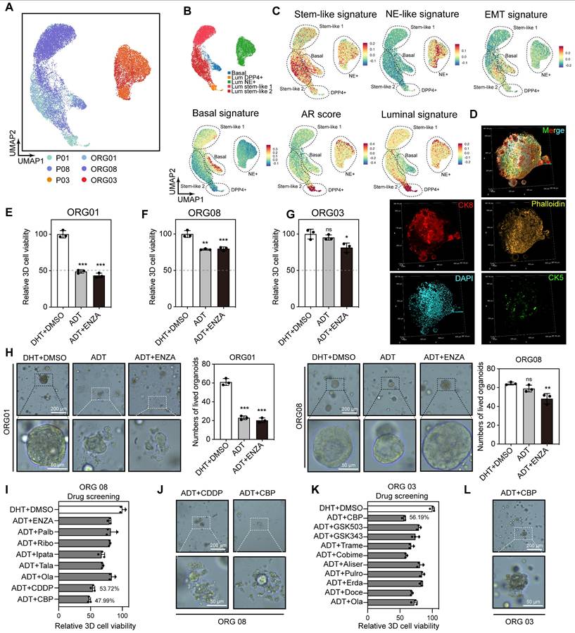 Theranostics Image