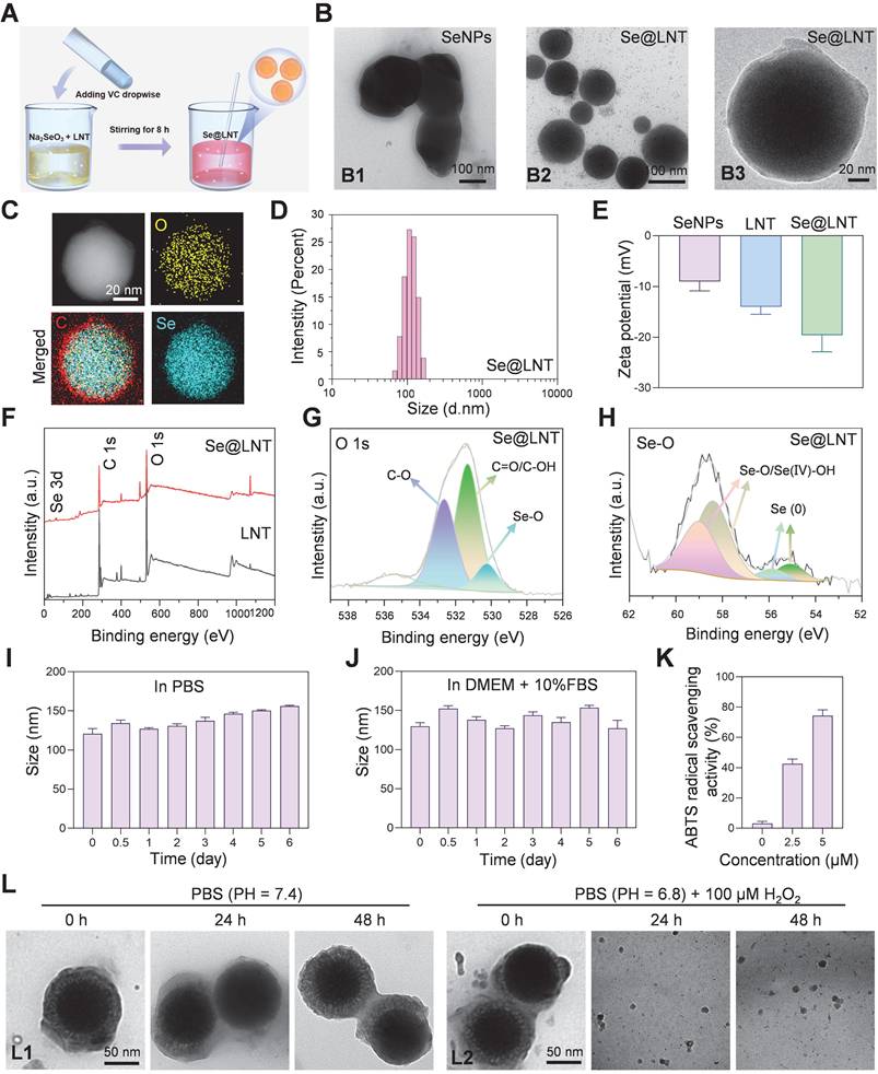 Theranostics Image