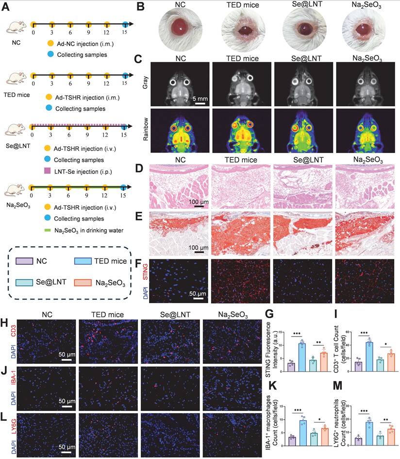 Theranostics Image