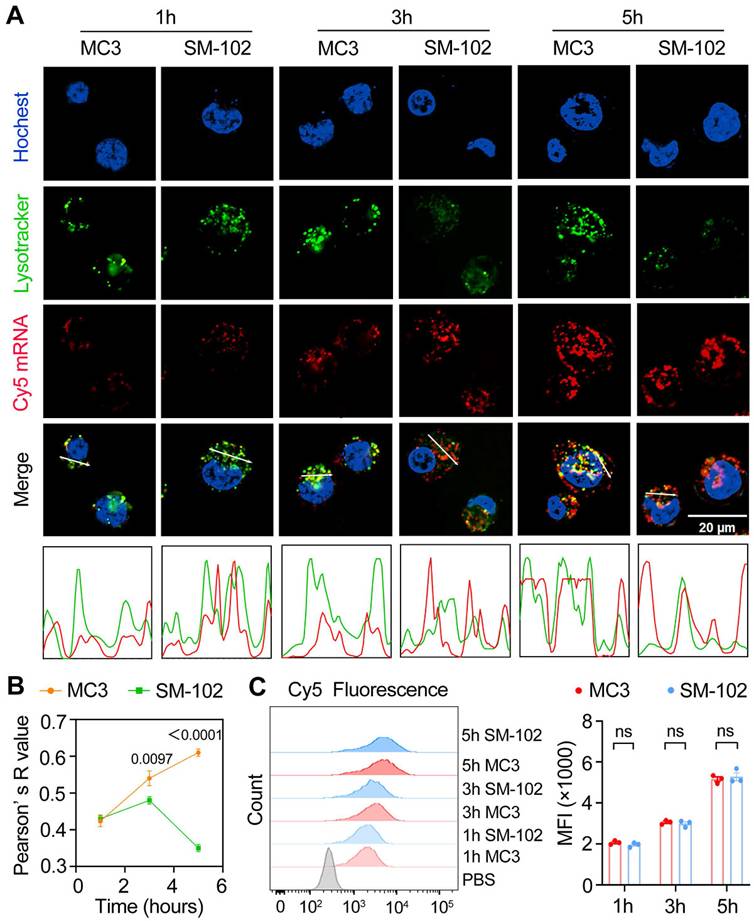 Theranostics Image
