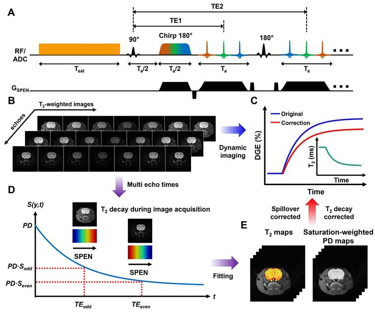 Theranostics Image
