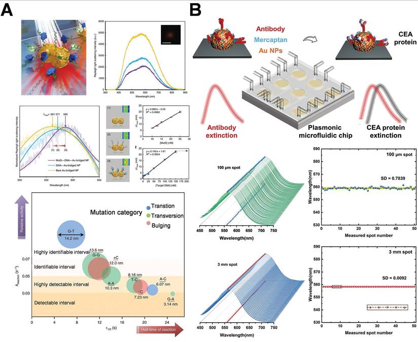 Theranostics Image