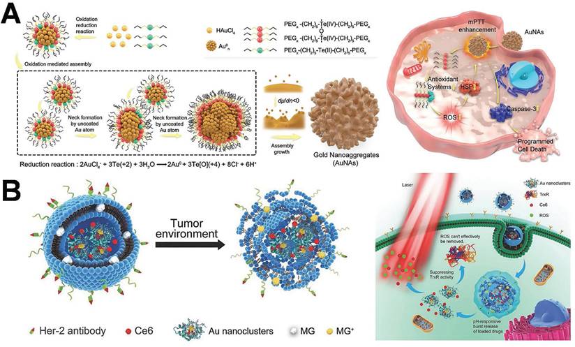 Theranostics Image