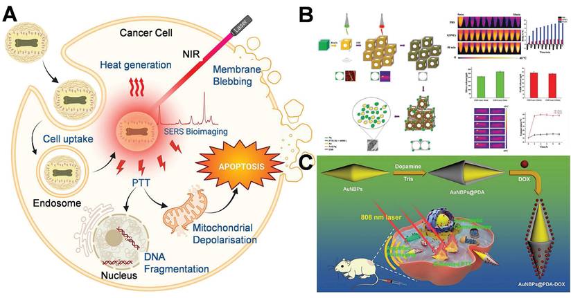 Theranostics Image