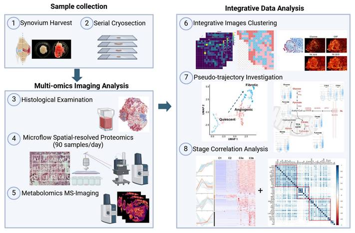 Theranostics Image