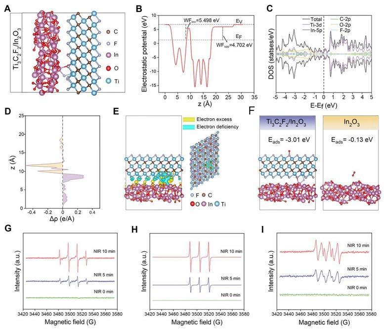 Theranostics Image