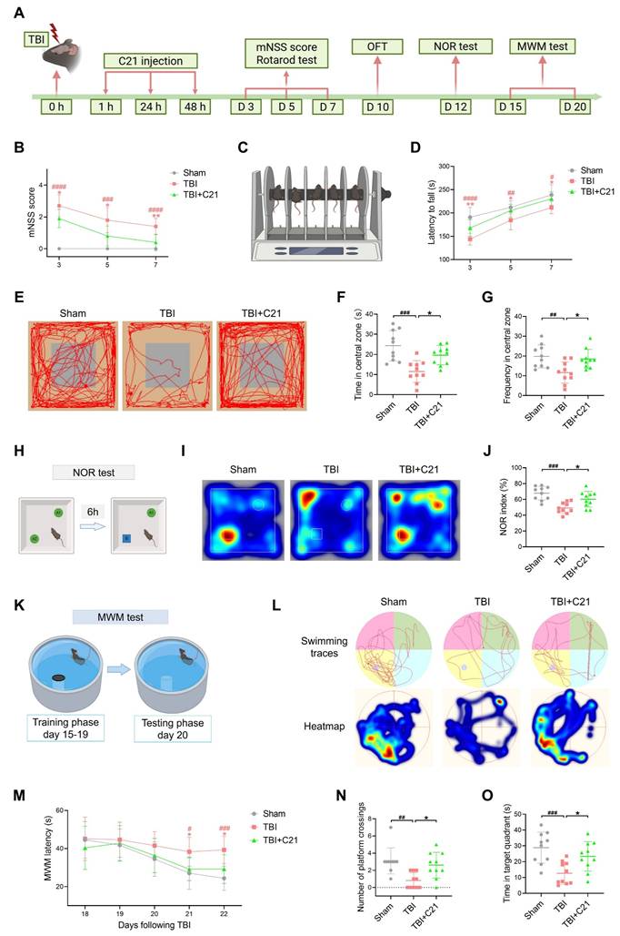 Theranostics Image