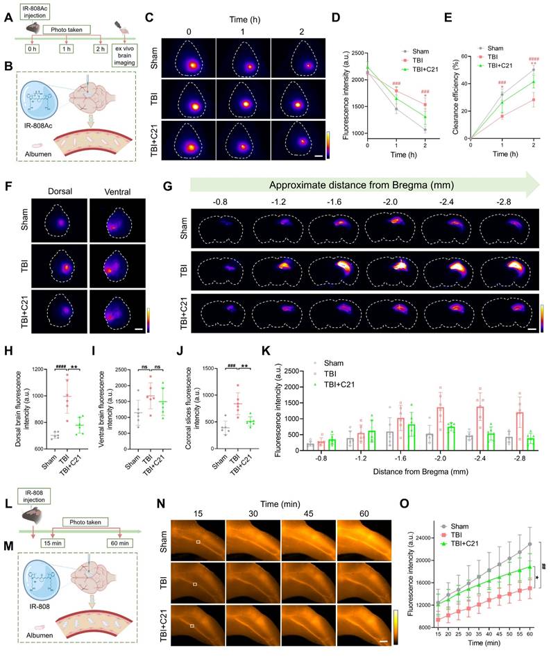 Theranostics Image