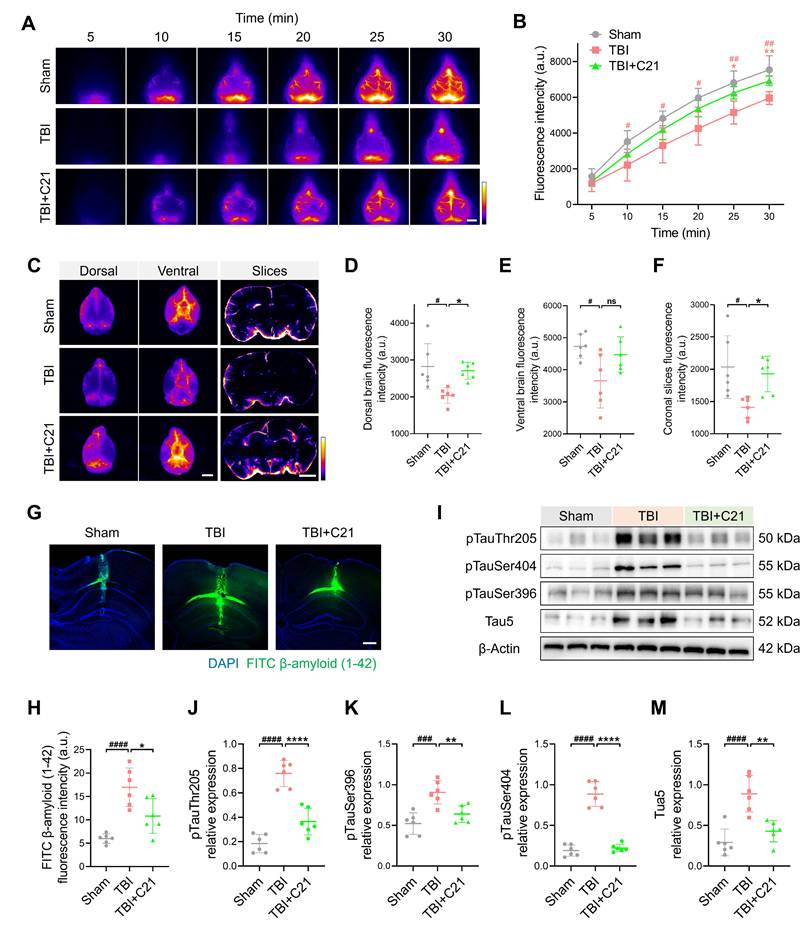 Theranostics Image