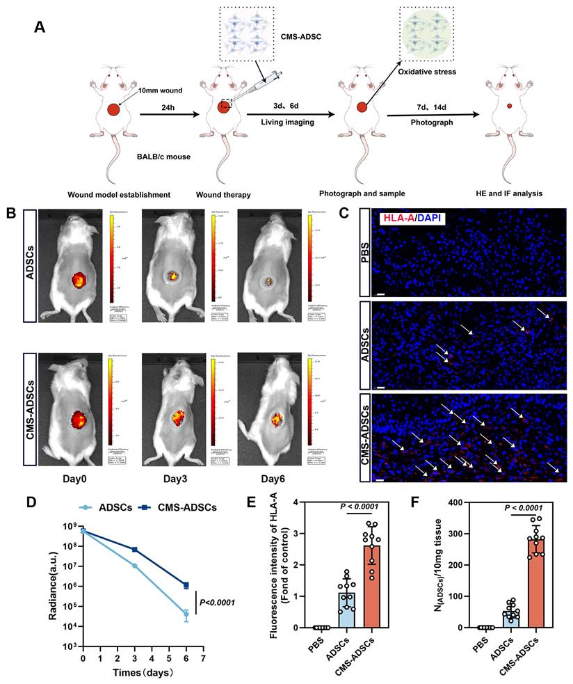 Theranostics Image