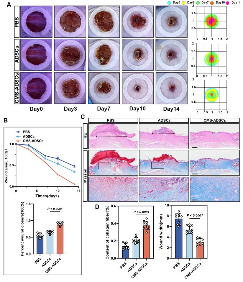 Theranostics Image