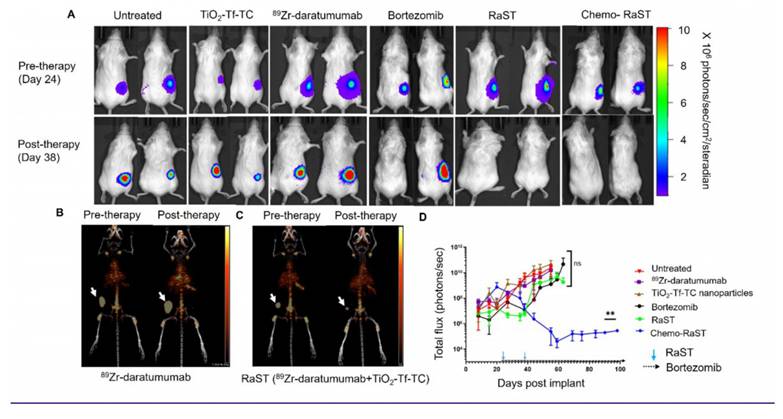 Theranostics Image