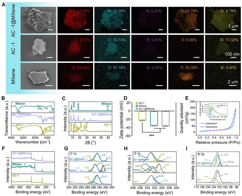 Theranostics Image