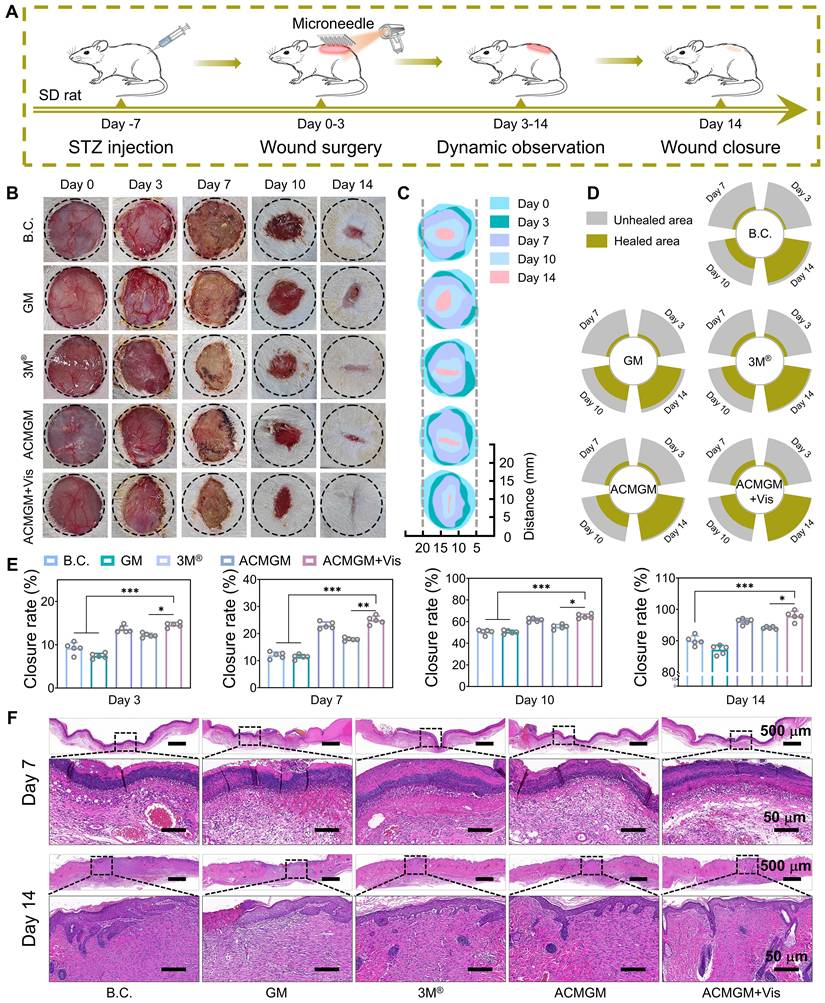 Theranostics Image
