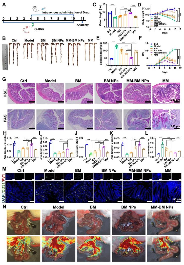Theranostics Image