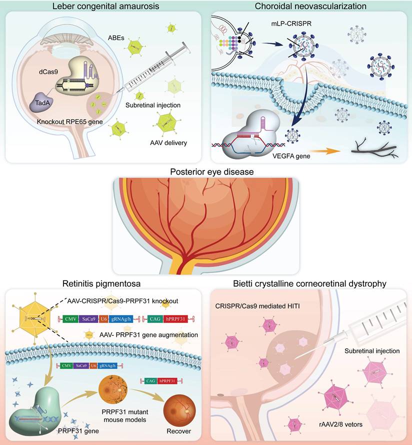 Theranostics Image
