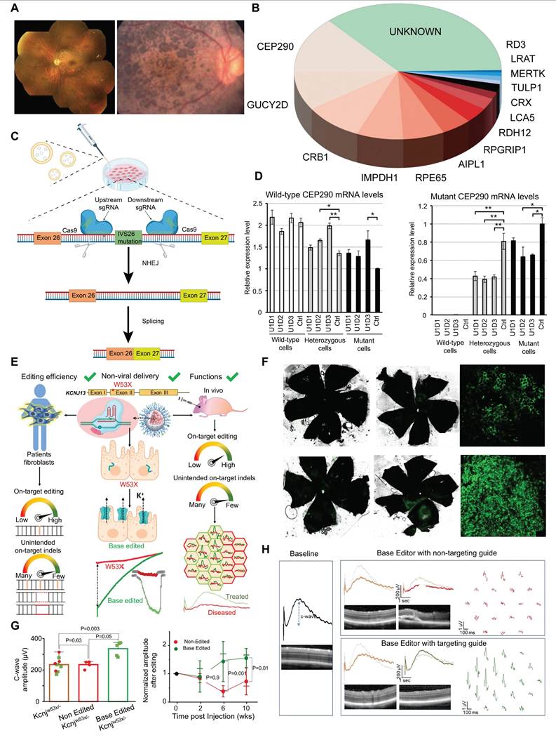 Theranostics Image