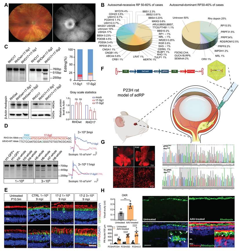 Theranostics Image
