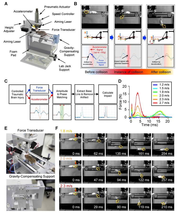 Theranostics Image