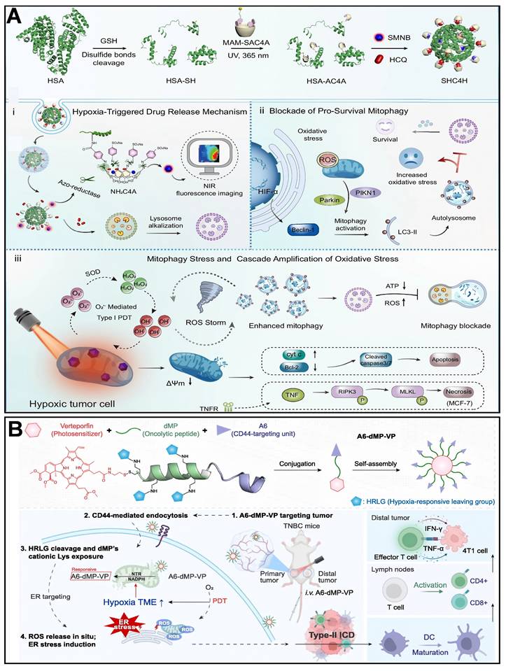 Theranostics Image