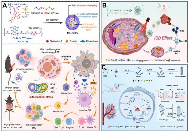 Theranostics Image