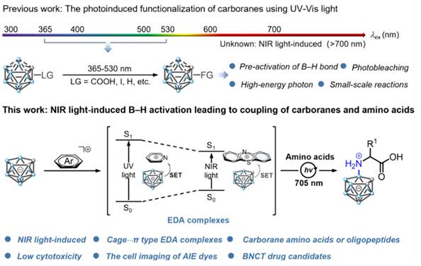 Theranostics Image