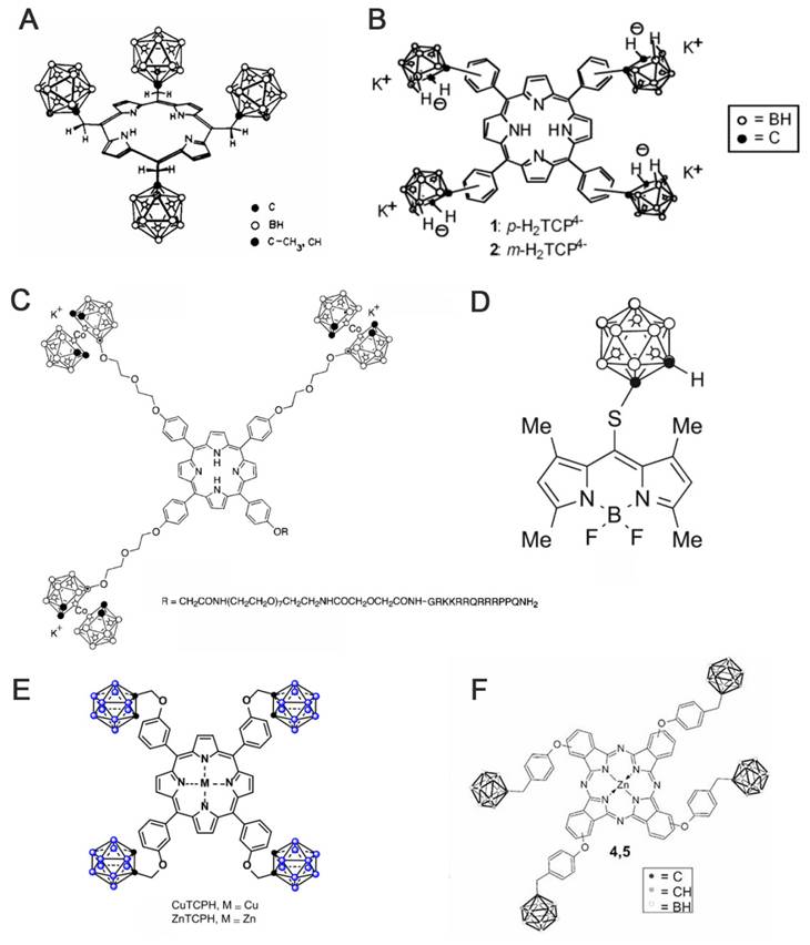 Theranostics Image
