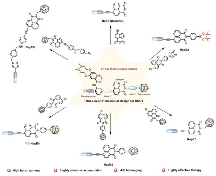 Theranostics Image