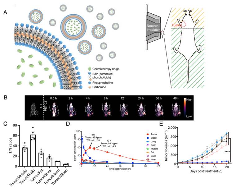 Theranostics Image